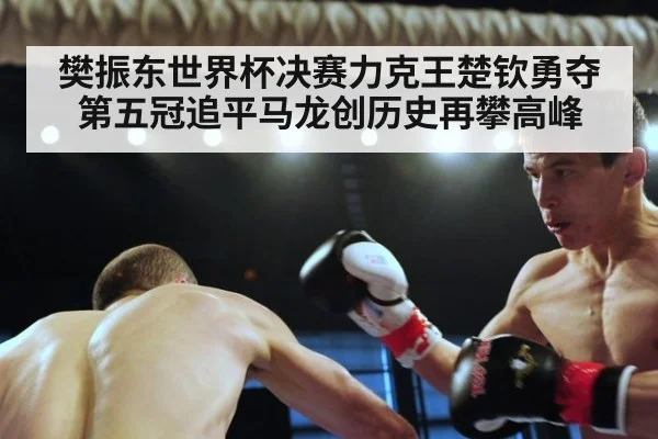 樊振东世界杯决赛力克王楚钦勇夺第五冠追平马龙创历史再攀高峰
